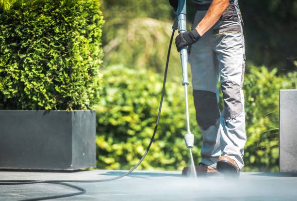 Best Spring Cleaning  in San Juan, TX