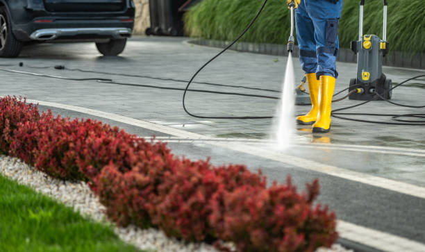 Best Patio and Deck Pressure Washing  in San Juan, TX